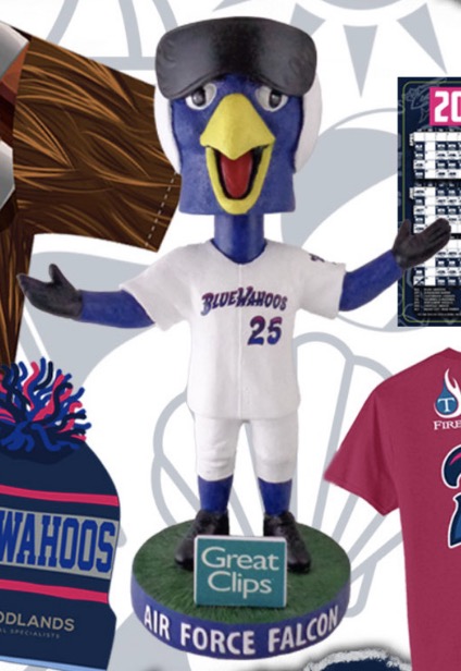 Air Force Falcon Racing Mascot