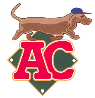 Albany-Colonie Diamond Dogs, Northern League