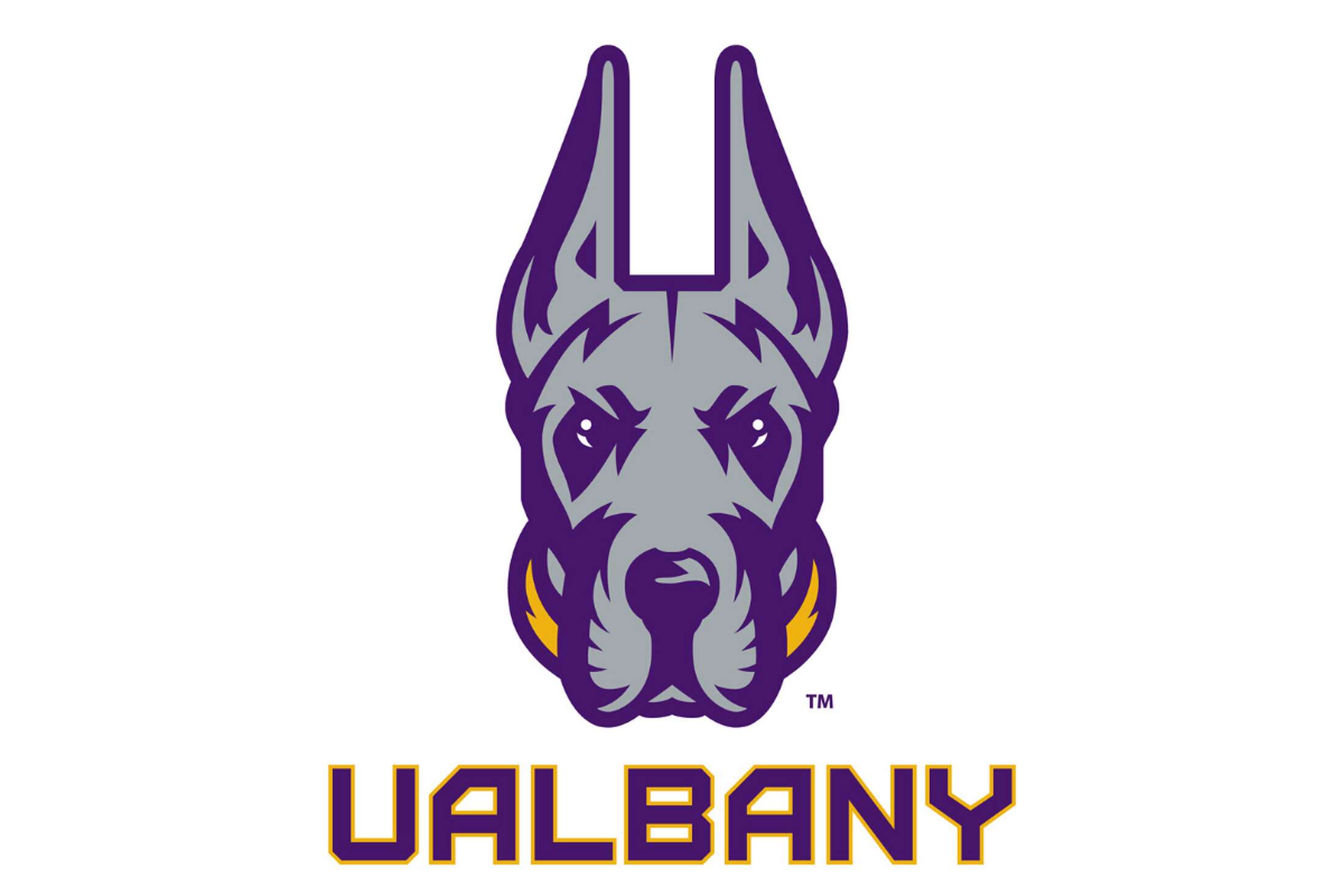 Albany University, Collegiate Lacrosse