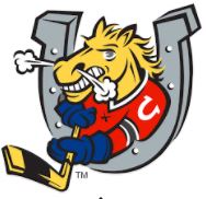 Barrie Colts, Ontario Hockey League