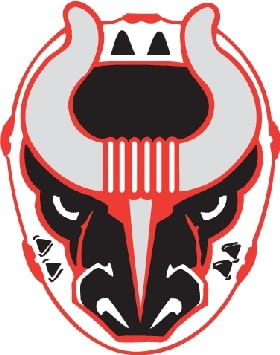 Birmingham Bulls, Southern Professional Hockey League