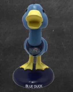 Blue Duck