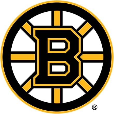 Boston Bruins, National Hockey League