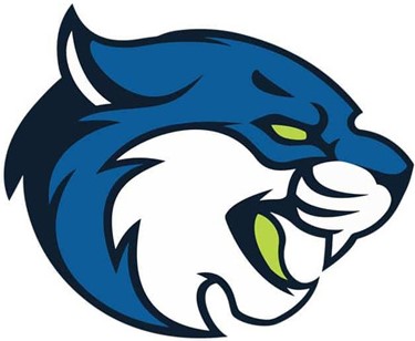 Bryant & Stratton, Collegiate Golf