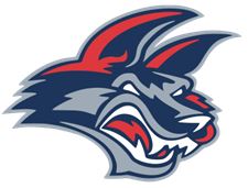 Elmira Jackals, East Coast Hockey League
