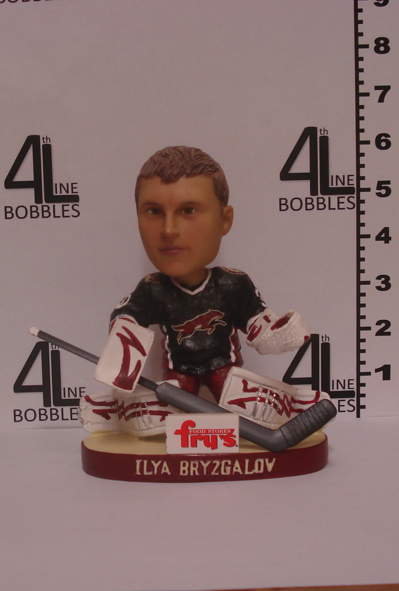 Ilya Bryzgalov