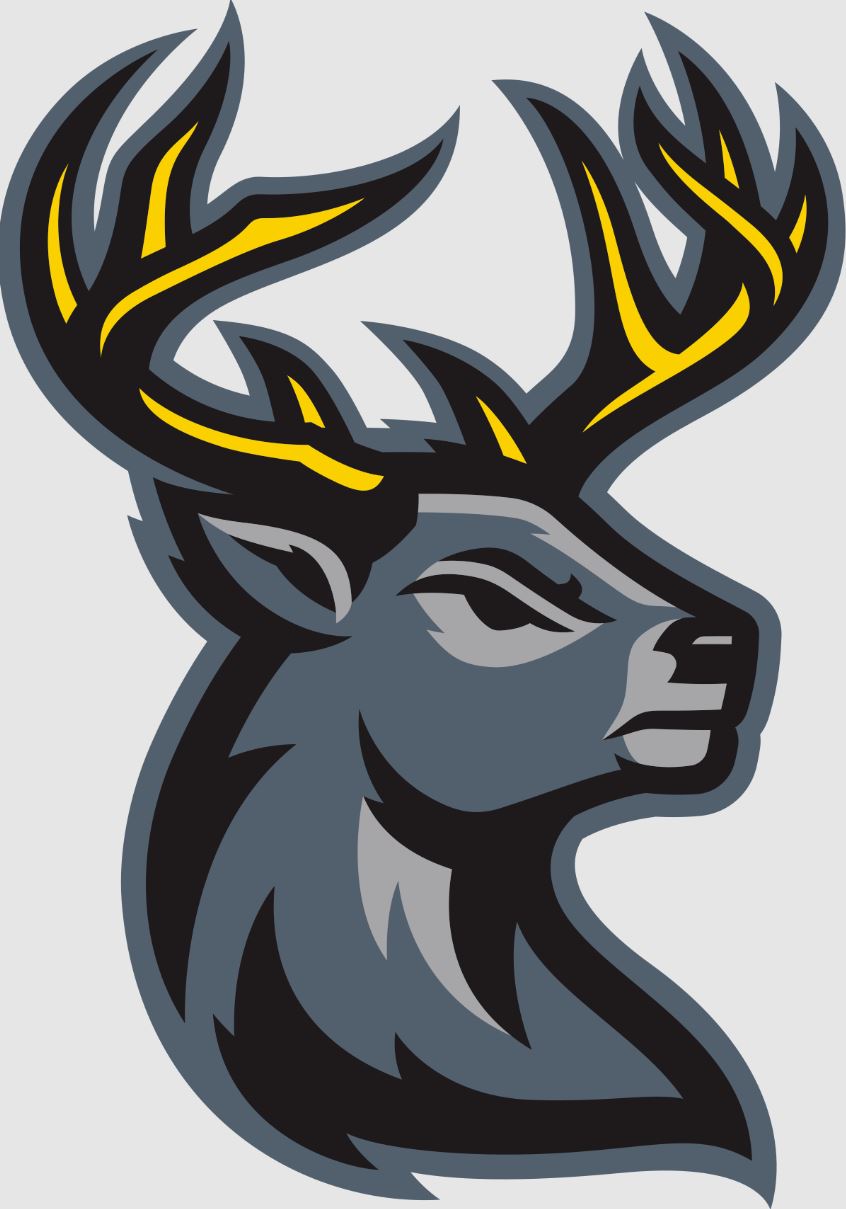 Iowa Heartlanders, East Coast Hockey League