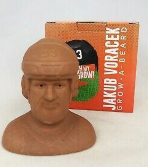 Jakub Voracek (Chia Pet)