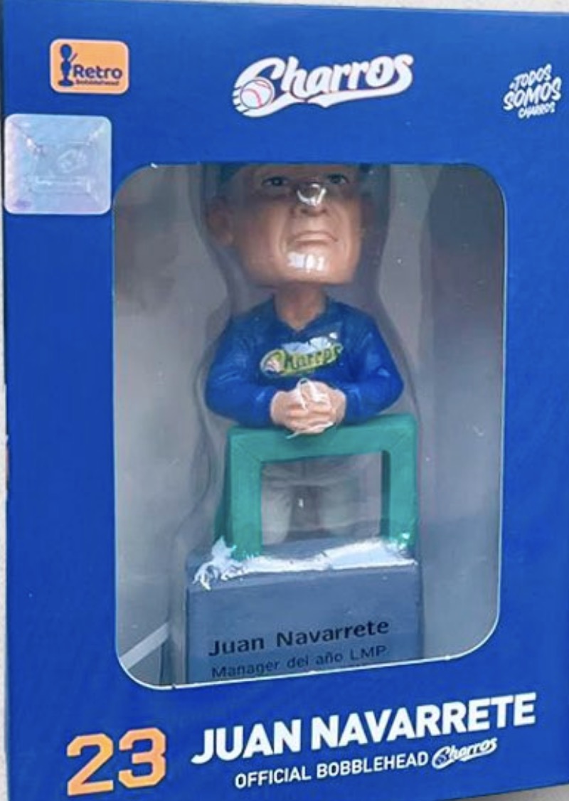 Juan Navarrete