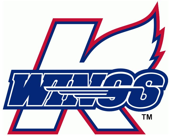 Kalamazoo Wings, International Hockey League