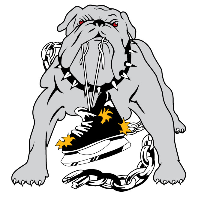 Long Beach Ice Dogs, East Coast Hockey League