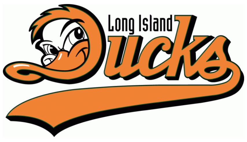 Long Island Ducks, Atlantic League of Professional Baseball