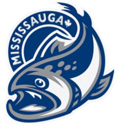Mississauga Steelheads, Ontario Hockey League