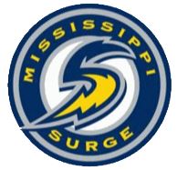 Mississippi Surge, Southern Professional Hockey League