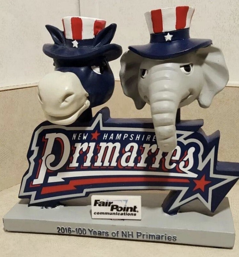 New Hampshire Primaries