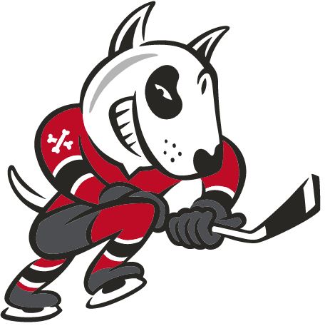 Niagara IceDogs, Ontario Hockey League