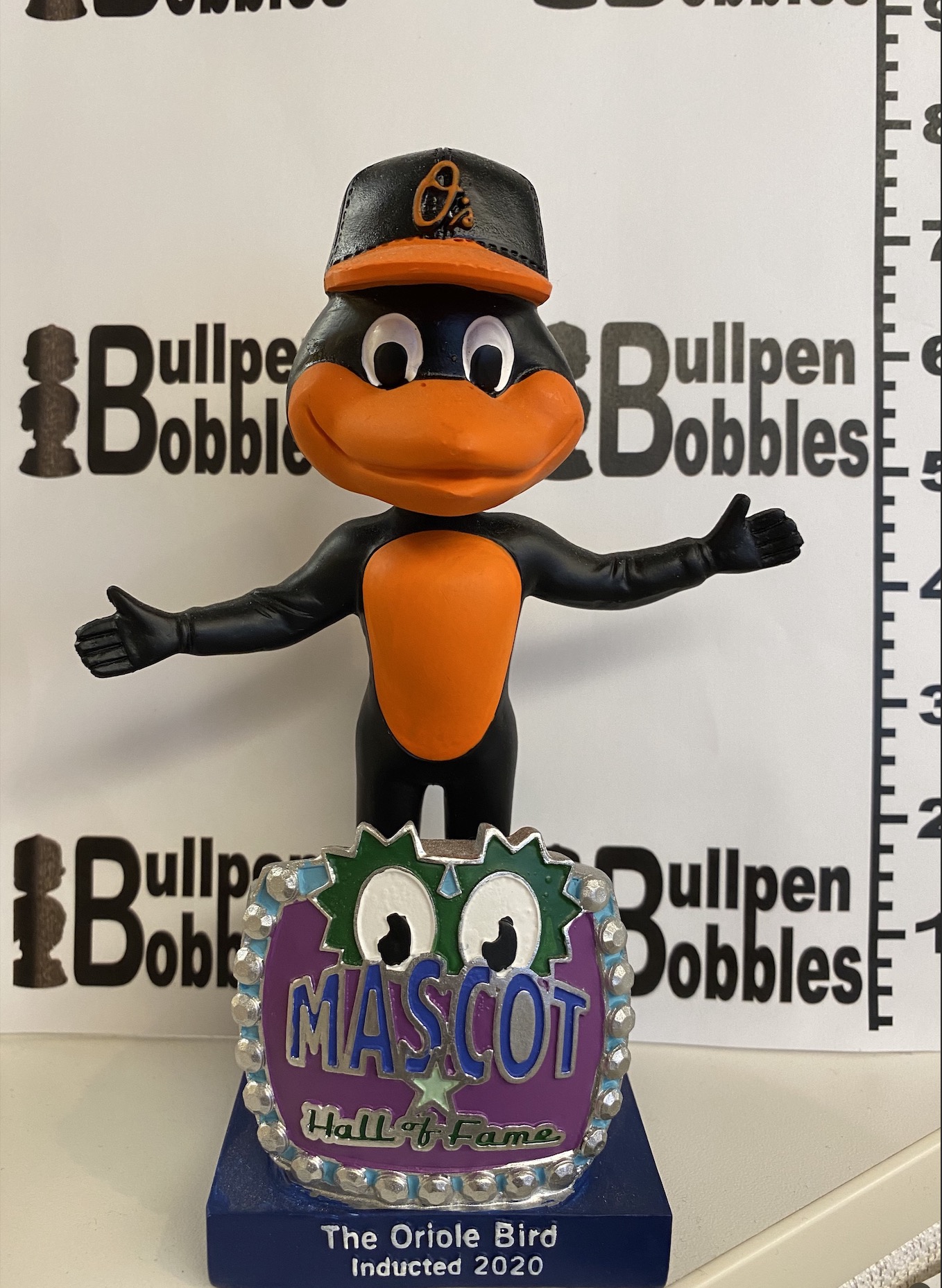 Oriole Bird