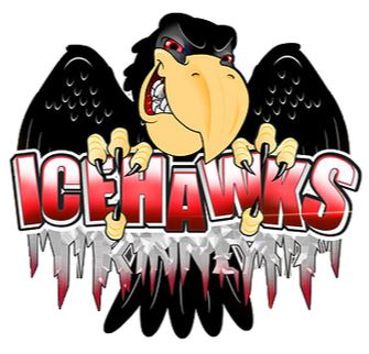 Port Huron Icehawks, International Hockey League
