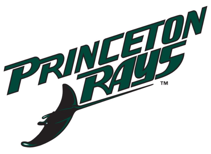 Princeton Devil Rays, Appalachian League