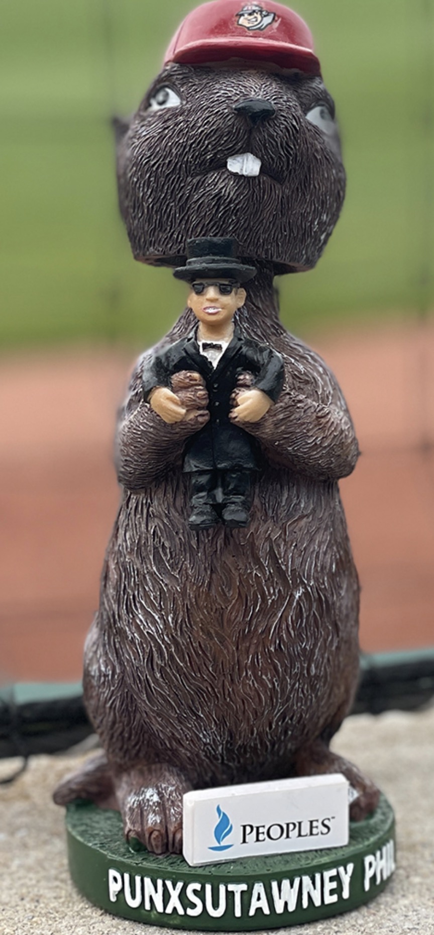 Punxsutawney Phil