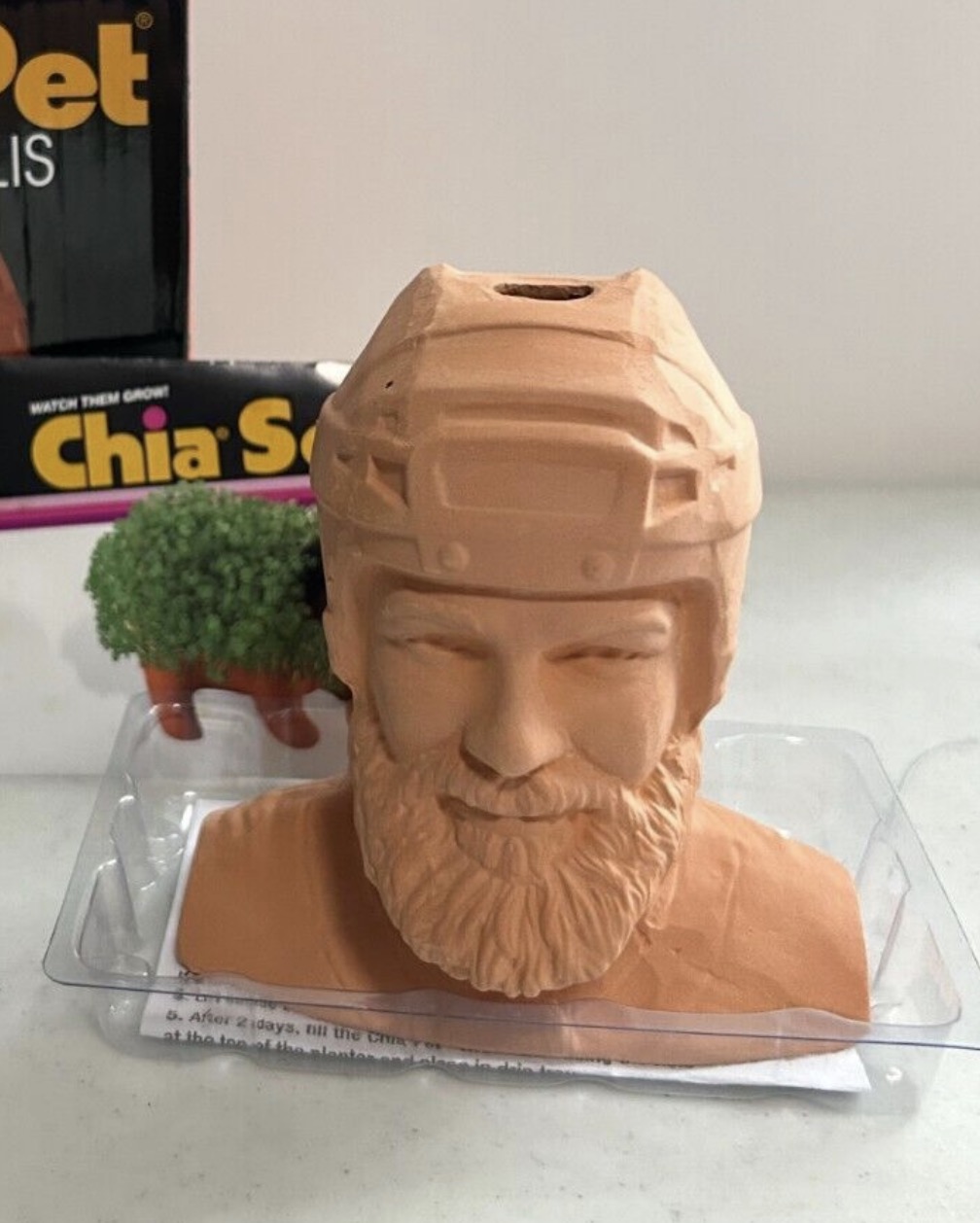Ryan Ellis (Chia Pet)