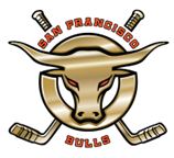 San Francisco Bulls, East Coast Hockey League