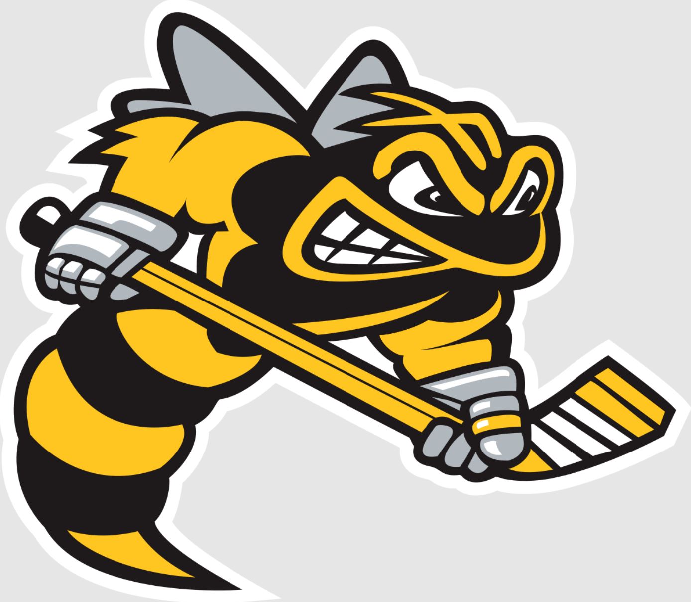 Sarnia Sting, Ontario Hockey League