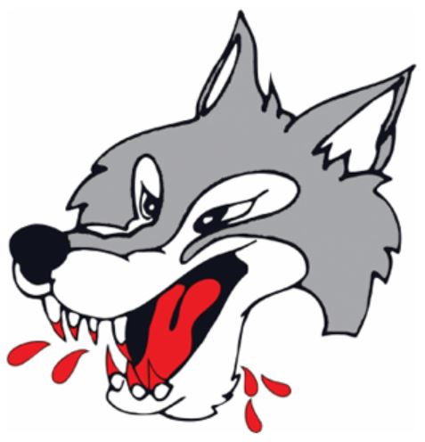 Sudbury Wolves, Ontario Hockey League