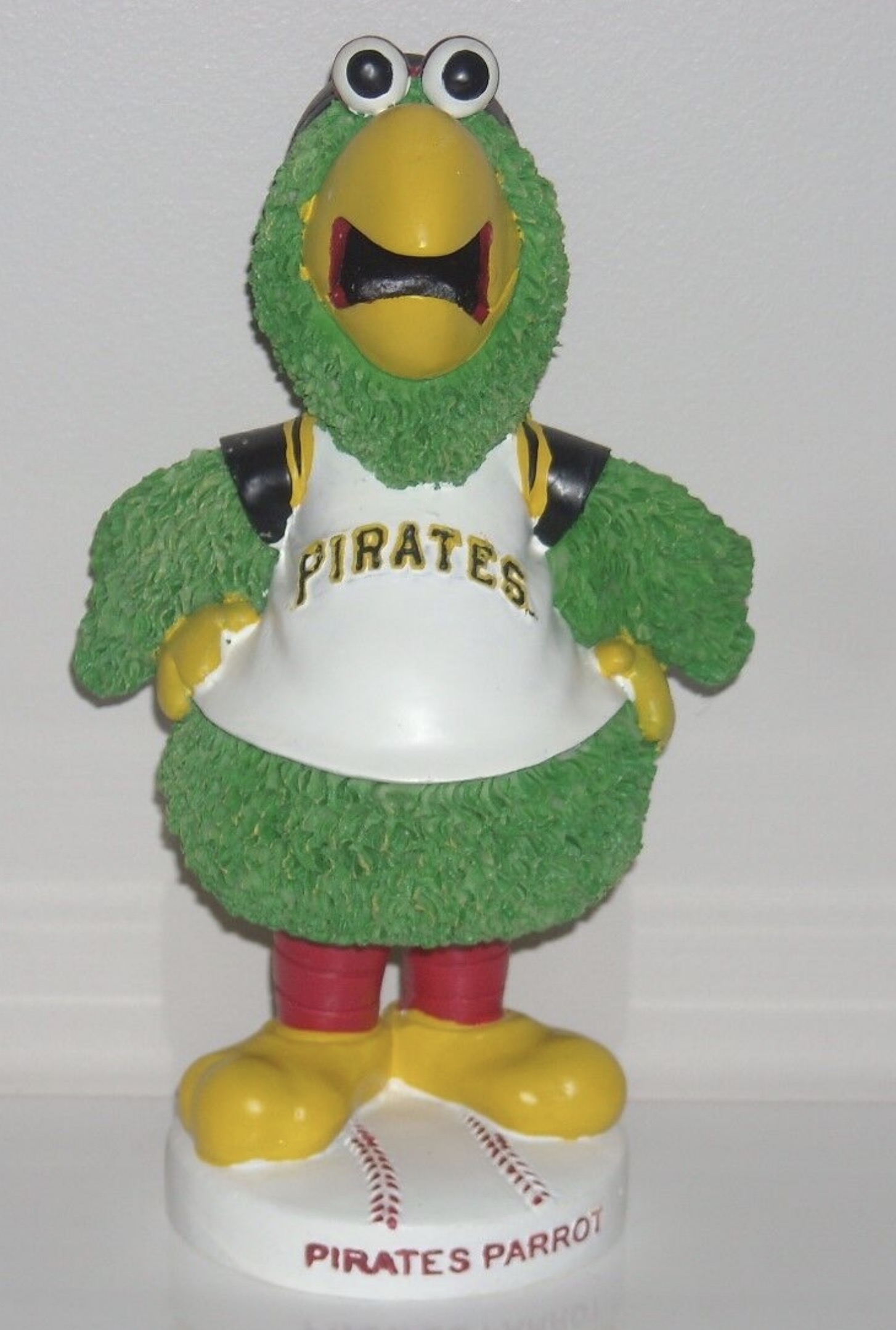 The Pirate Parrot