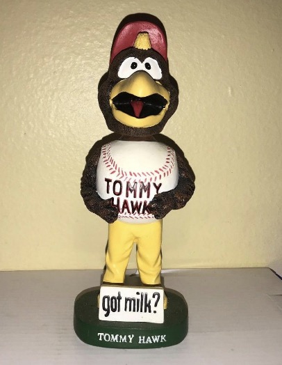 Tommy Hawk